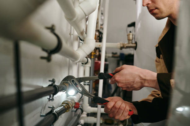 Best Commercial Plumbing Services  in Holt, AL