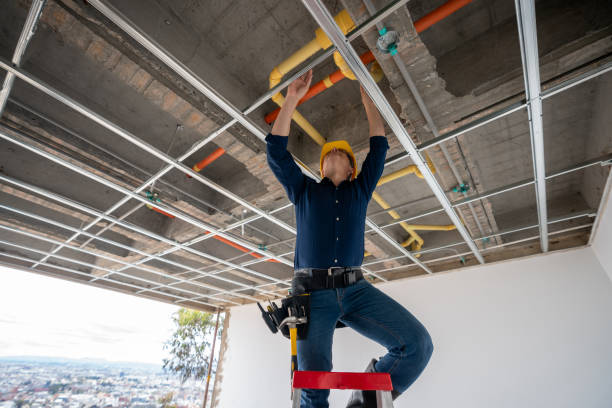 Best Leak Detection Services  in Holt, AL