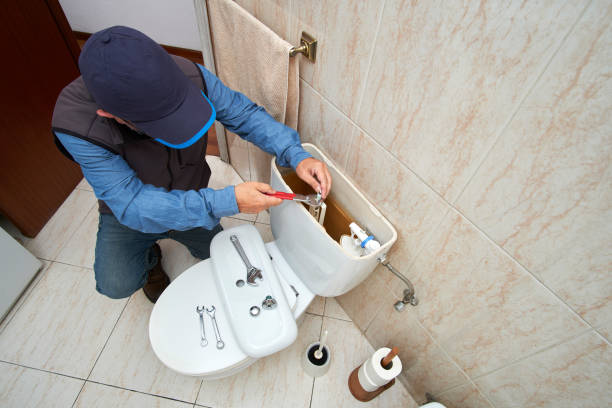 Best Plumbing Services Near Me  in Holt, AL
