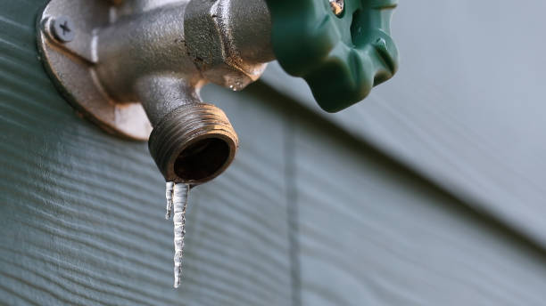 Best Emergency Plumber  in Holt, AL